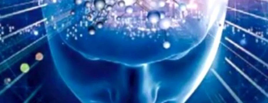 origens da mente universal