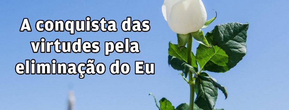 A conquista das virtudes pela eliminação do Eu