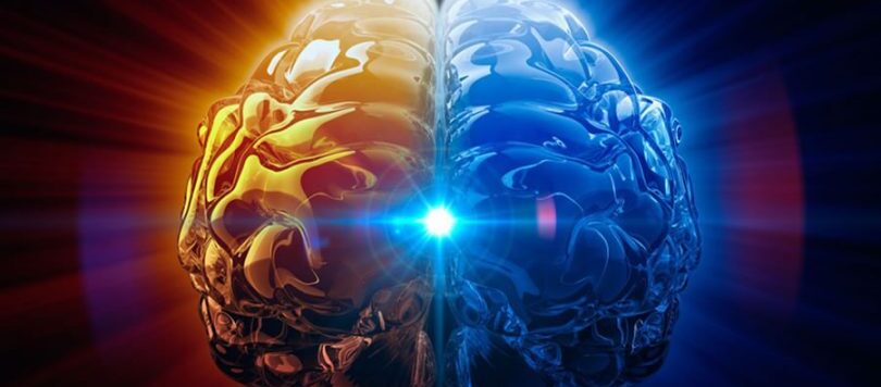 pineal