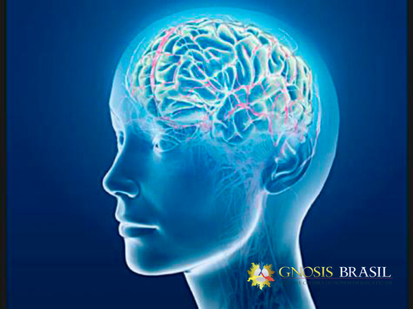 Os-três-cérebros.gnosis