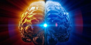 pineal